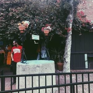 Meet your Posher, Dev